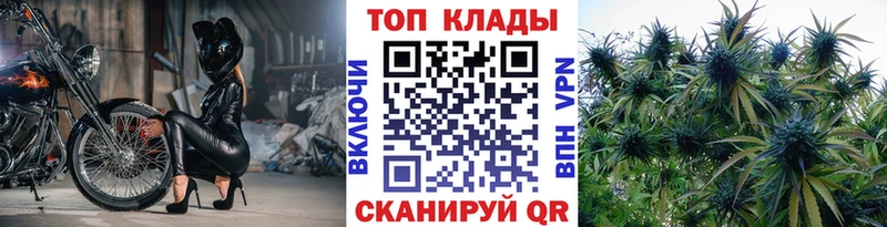 Как найти закладки Елизаветинская A PVP Галлюциногенные грибы Канабис Меф мяу мяу