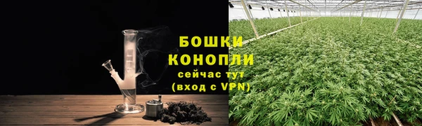 гидропоника Алзамай