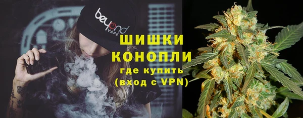 гидропоника Алзамай