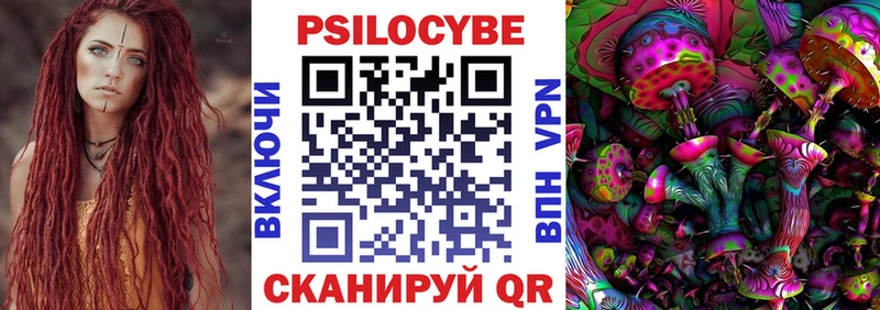 Псилоцибиновые грибы Psilocybe  наркота  Елизаветинская 