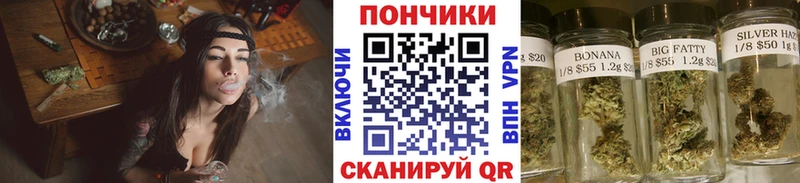 Бошки марихуана Bruce Banner  Елизаветинская 